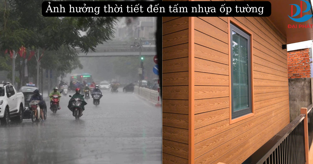 Tấm ốp đại Phát (9)