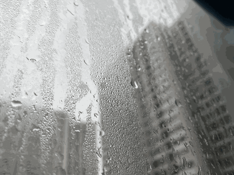 0cb9f2544b1a968c33ac5a1c3ba16ea1841dfcad