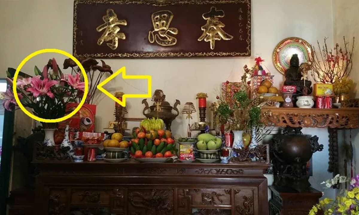 Cung Hoa Ngoisaovn W1200 H720