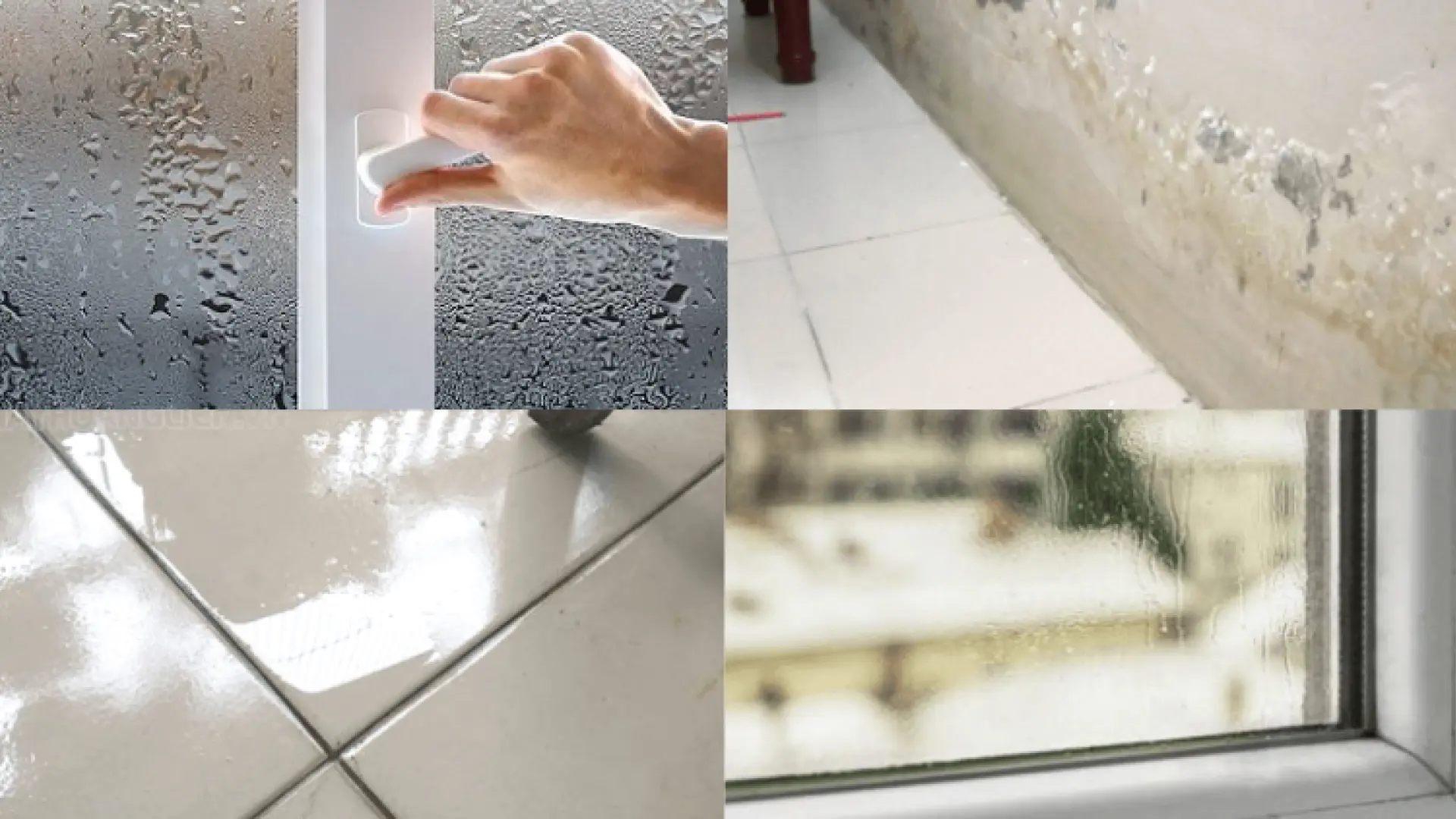 Luu Y Xay Nha Mua Nom Thumb.png