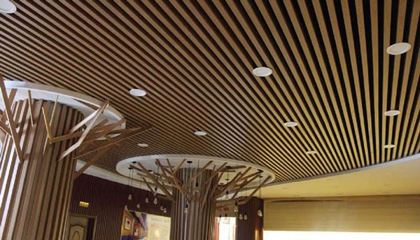 Tran Nhua Lam Song 10 1