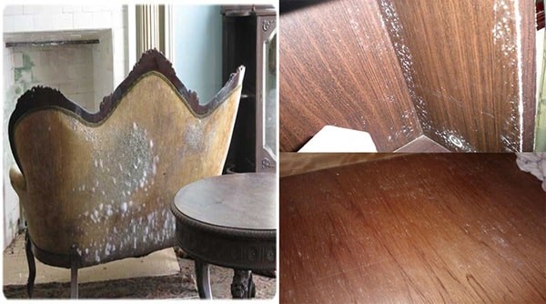 Xu Ly Nam Moc Tren Cua Go 1