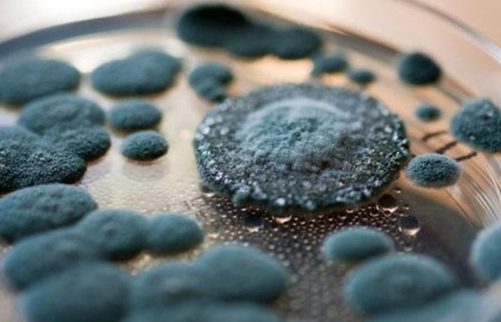 bảo quản nội thất nhựa nội nhựa bị ngấm nước vật liệu pvc nano bão lũ kiến trúc nhà đẹp mẹo nhà