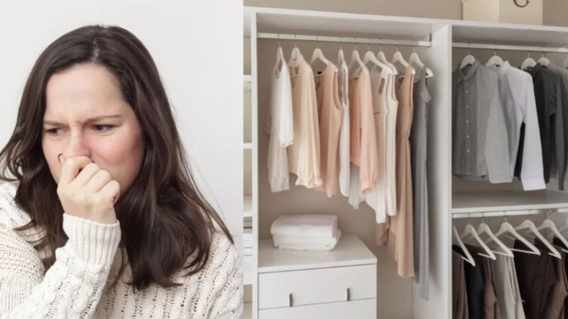 Chống Ẩm Mốc Tủ Quần Áo – Giải Pháp Hiệu Quả Cho Nhà Việt Trong Mùa Nồm Ẩm